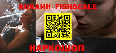 крисы Шебекино
