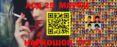 крисы Шебекино