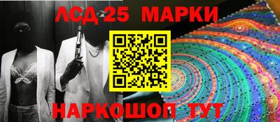 крисы Шебекино