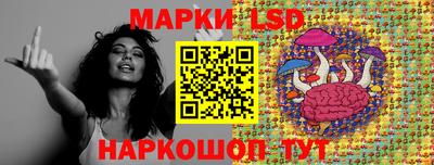 крисы Шебекино