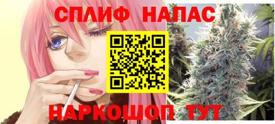 крисы Шебекино