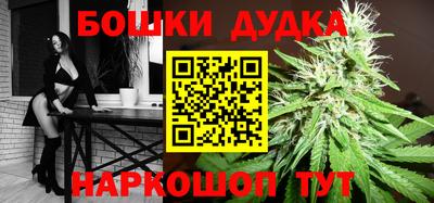 крисы Шебекино