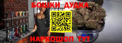 крисы Шебекино