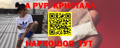 крисы Шебекино